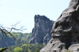 Waldzauber bewusst leben sachsen